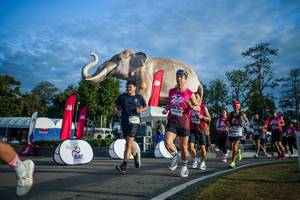 BIB: 
                            <button type="button" onclick="openModal(26541523)" class="btn btn-primary btn-sm float-right btn-popup" data-toggle="modal" data-target=".modal-high-quality">
                        <i class="fas fa-shopping-cart"></i> Add to Cart
                    </button>
                                            <button type="button" onclick="isThisMe(26541523, true)" class="btn btn-success btn-sm float-right btn-popup btn-isme hidden" data-toggle="tooltip" data-placement="bottom" title="นี่คือรูปของคุณใช่ไหม คลิกที่นี่เพื่อเอาเข้าอัลบั้ม">
                        <i class="fas fa-plus"></i> Add to album
                    </button>
                    <button type="button" onclick="isThisMe(26541523, false)" class="btn btn-warning btn-sm float-right btn-popup btn-isnotme hidden">
                        <i class="fas fa-ban"></i> Remove from album
                    </button>